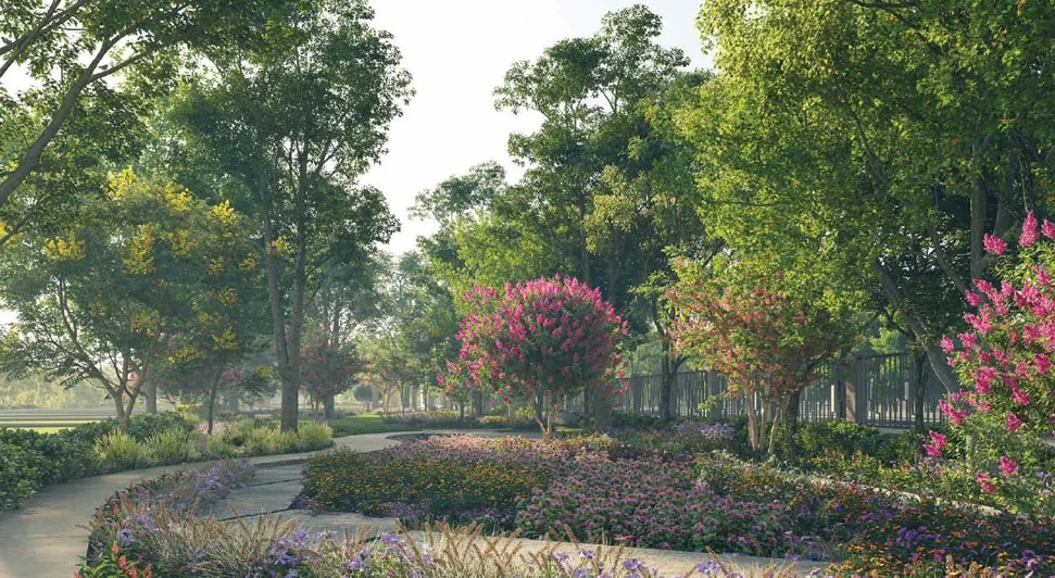 Image3
